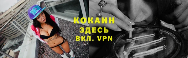 стаф Медногорск
