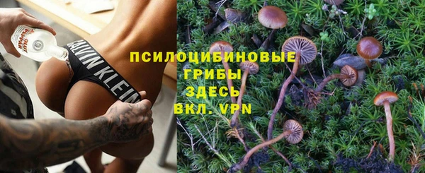 стаф Медногорск