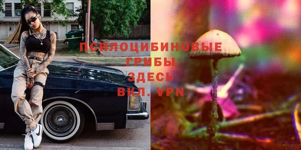 мескалин Медвежьегорск