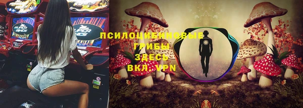 мескалин Медвежьегорск