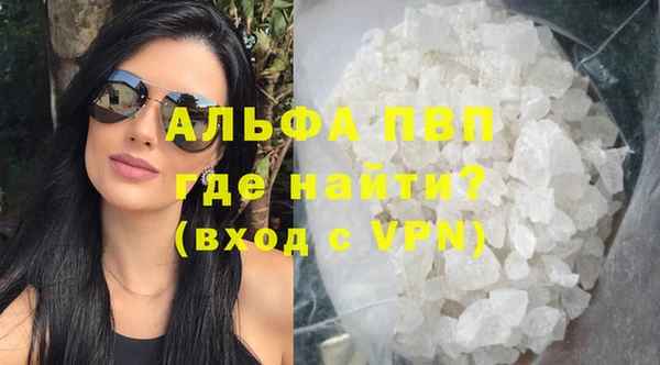 стаф Медногорск