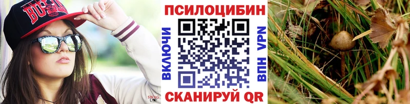 Псилоцибиновые грибы прущие грибы  Приволжск 